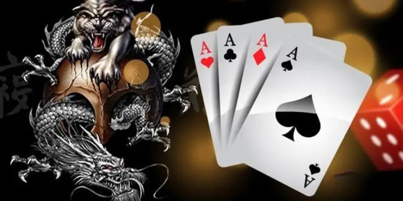 Dragon Tiger MOTO88 thu hút người chơi